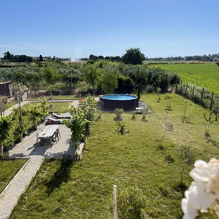 Pp12 - Potenza Picena, Ampio Trilocale Con Piscina E Aria Condizionata Potenza Picena