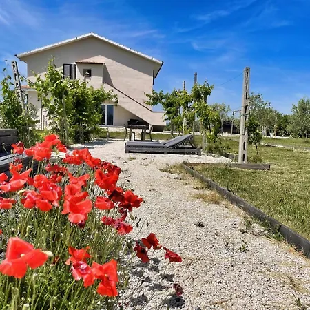Pp12 - Potenza Picena, Ampio Trilocale Con Piscina E Aria Condizionata Apartmán